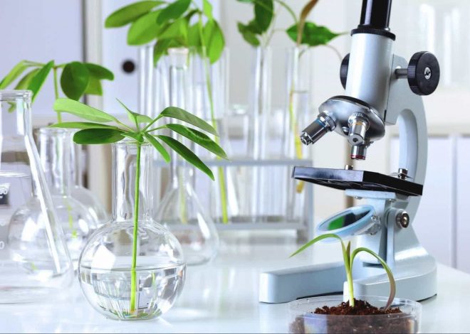 Увлекательная биология: познаем живой мир вместе - 1