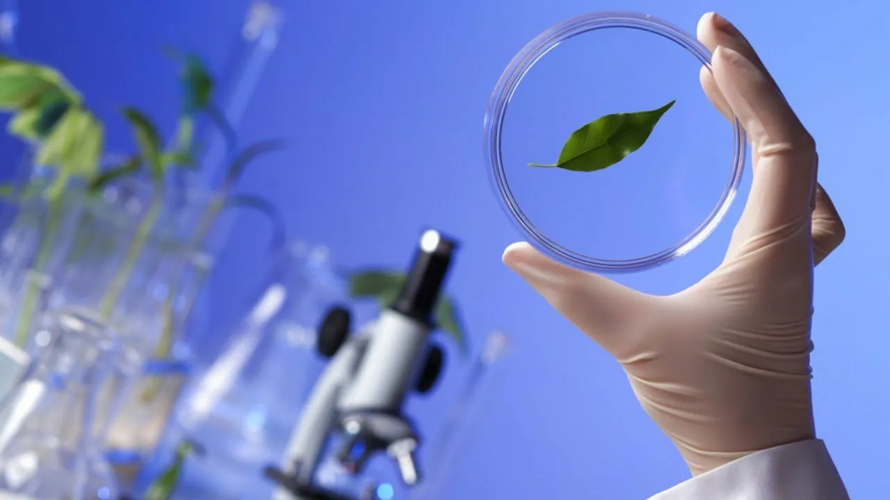 Увлекательная биология: познаем живой мир вместе - 4